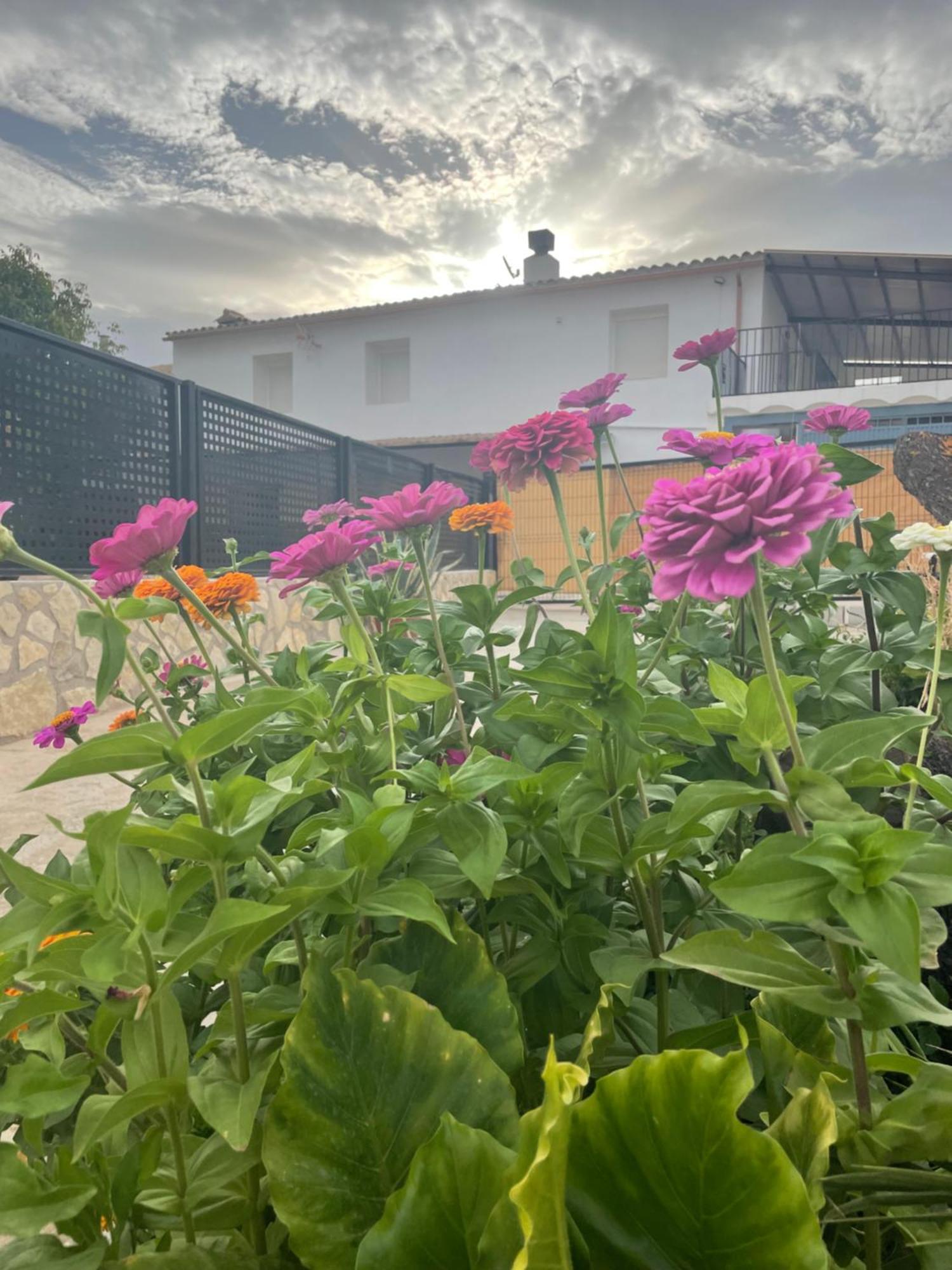 Cortijo El Prado Ll Villa กาสตริล ภายนอก รูปภาพ